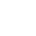 017brl icon