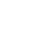 017brl icon