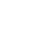 017brl icon