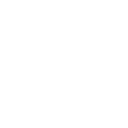 017brl icon