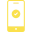 017brl icon
