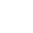 017brl icon