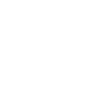 017brl icon