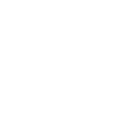 017brl icon