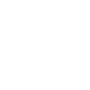 017brl icon