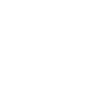 017brl icon